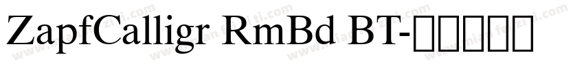 ZapfCalligr RmBd BT字体转换